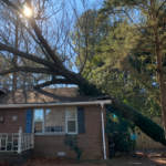 Emergency Tree Removal Service Griffin GA