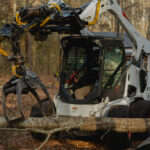 Emergency Tree Removal Company Griffin GA