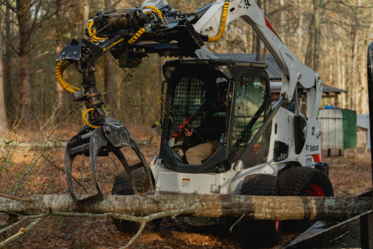 Emergency Tree Removal Company Griffin GA