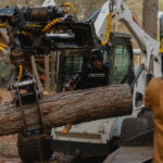 Tree Removal Griffin GA