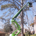 Tree Trimming Service Griffin GA