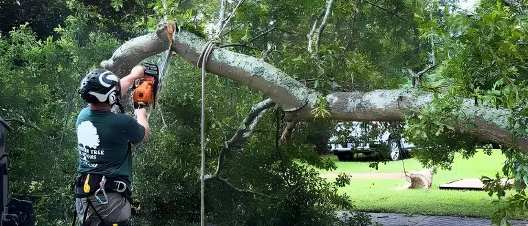 Storm Damage Tree Service Griffin GA