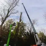 Crane Tree Cutter Griffin GA