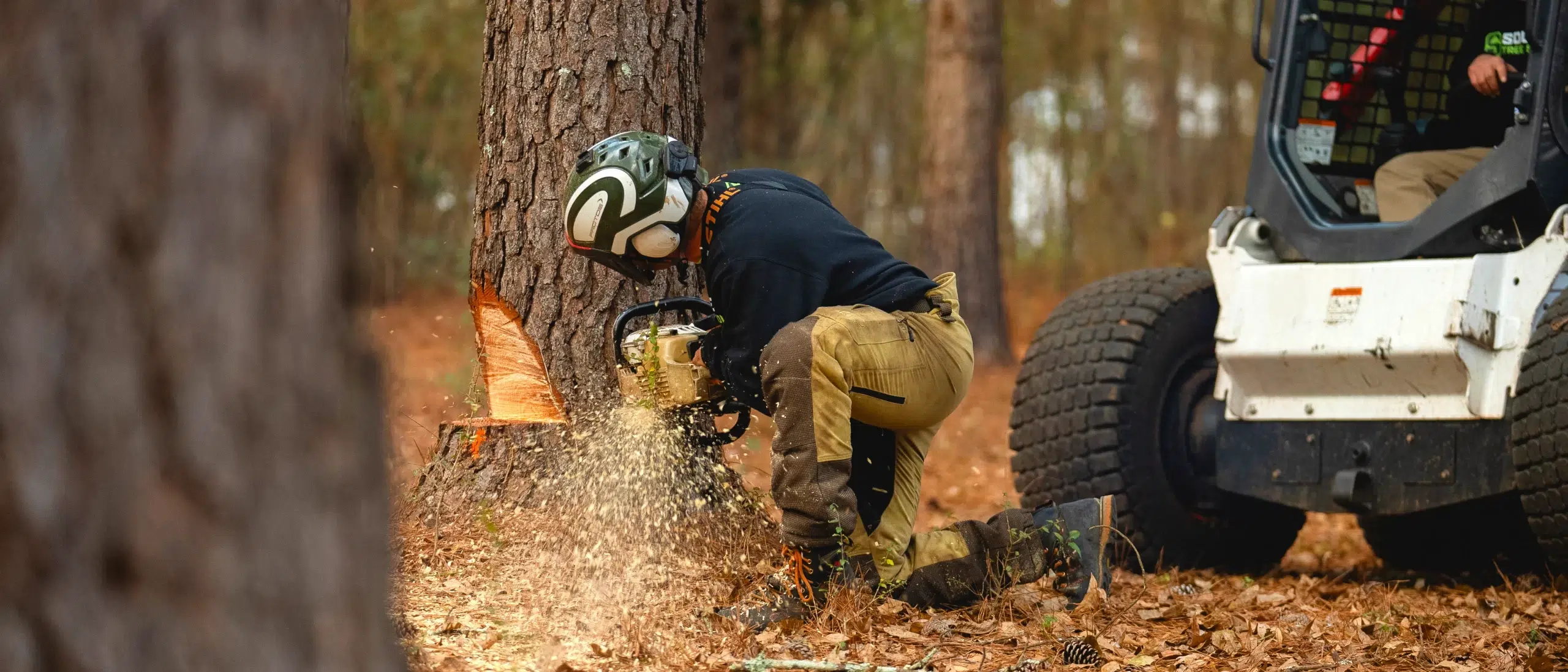 Tree, Stump & Root Removal Spalding County, GA | Tree Cutting Services ...