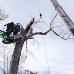 Crane For Tree Cutting Griffin GA