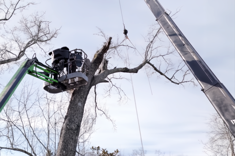 Crane For Tree Cutting Griffin GA