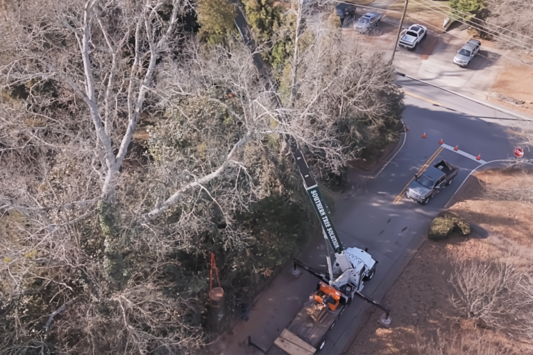 Tree Service With Crane Griffin GA