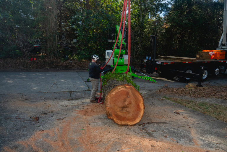 Crane Tree Removal Griffin GA