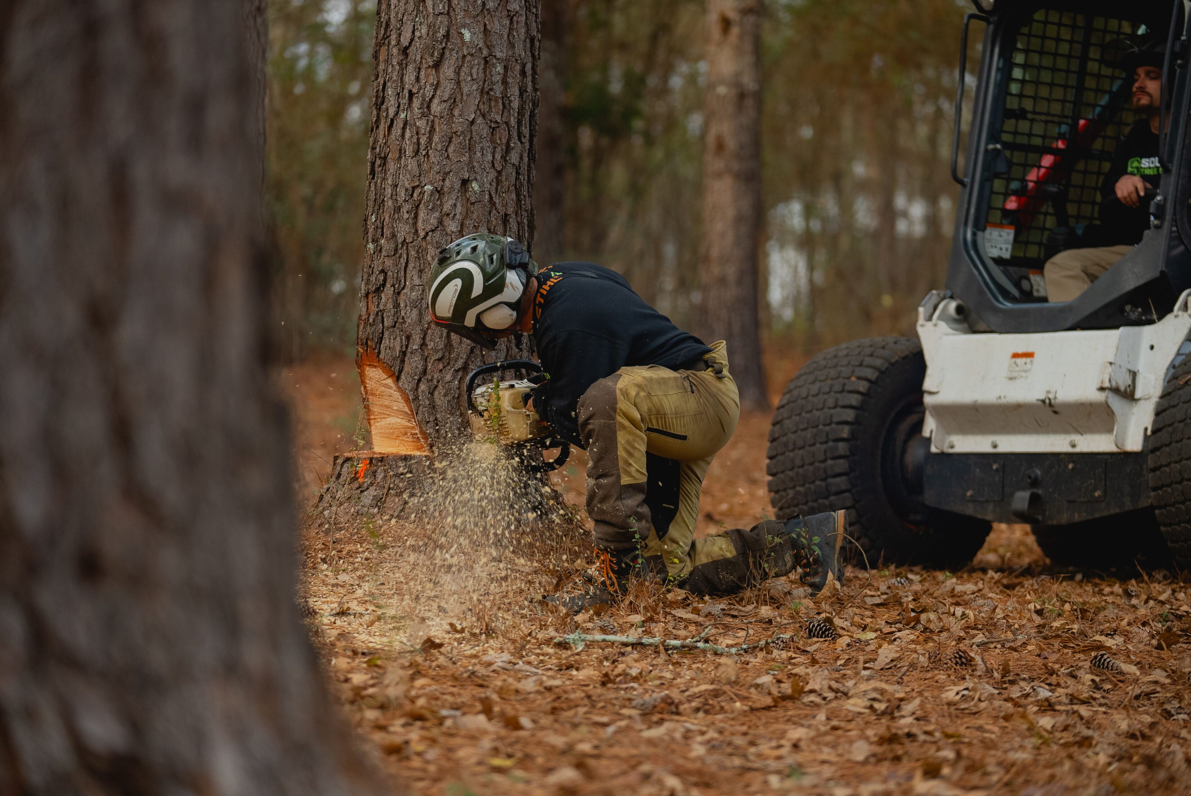 Does Cutting Down Trees Increase Property Value? | Southern Tree Solutions