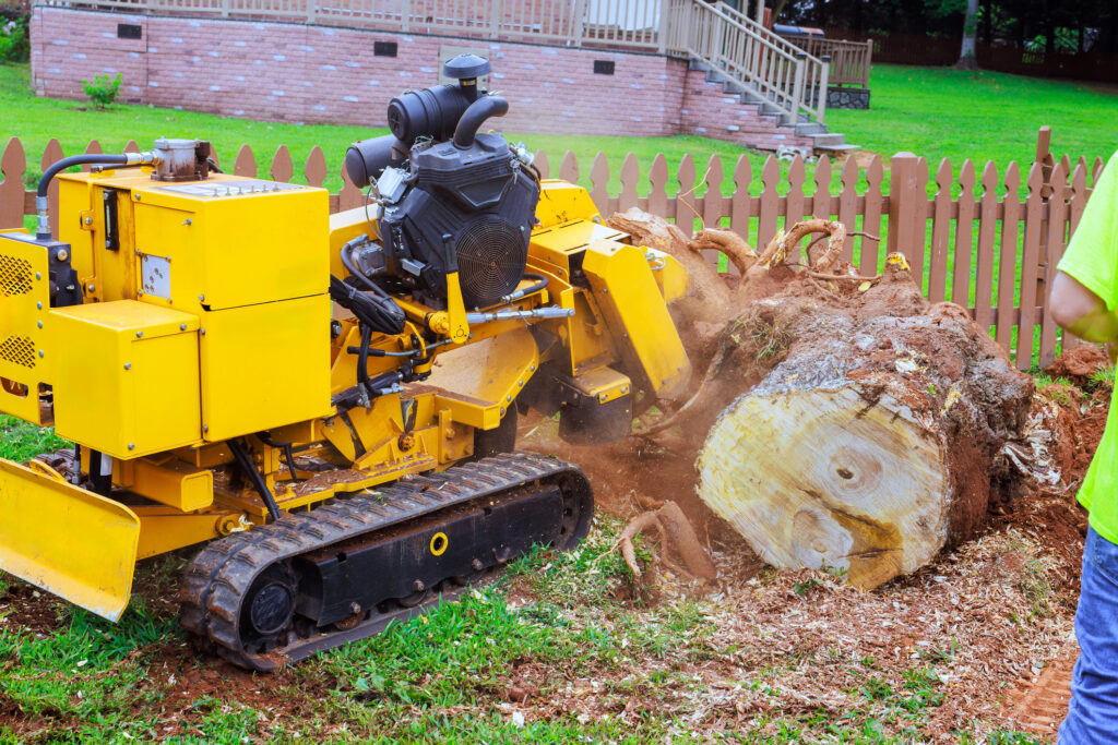 Top Benefits of Hiring a Professional Tree Stump Removal Service ...